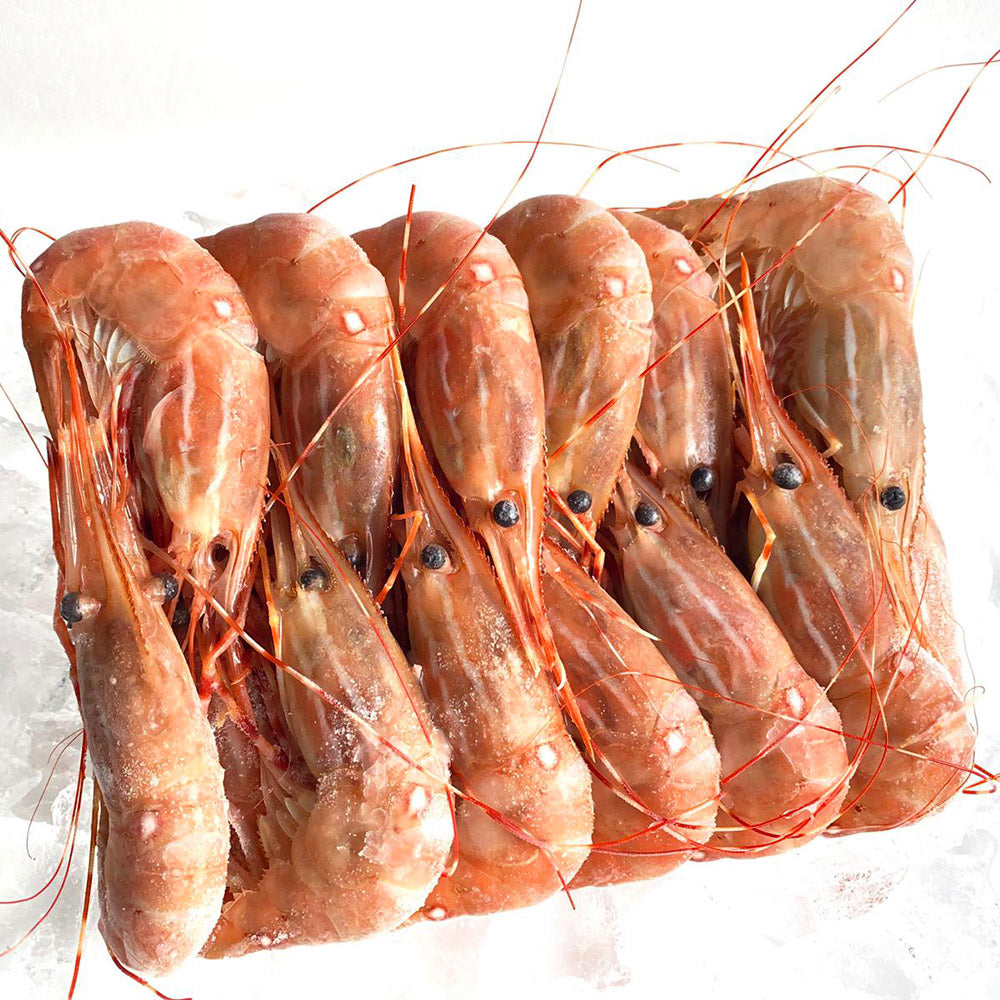 Frozen Whole Prawns Sashimi Grade BC Live Spot Prawns Seafood