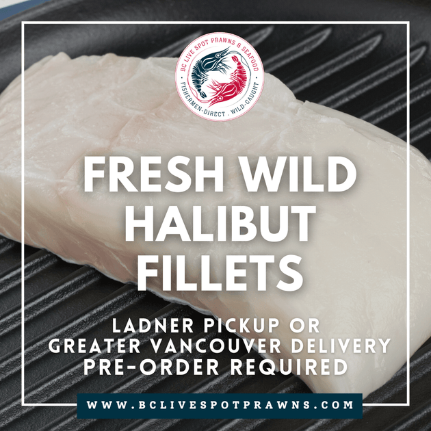 Wild Halibut